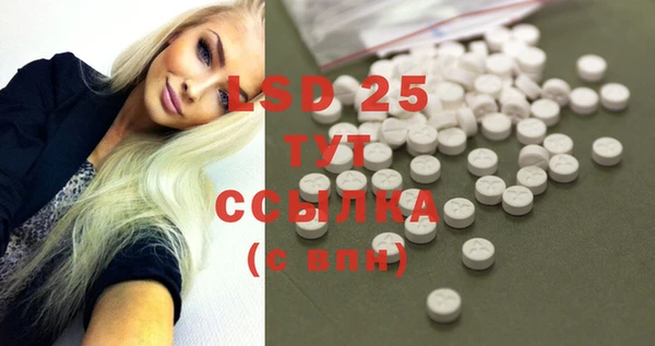 стаф Липки