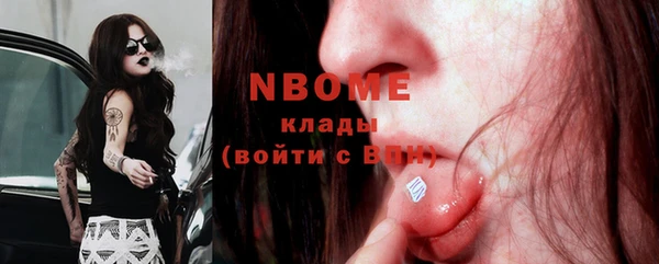 стаф Липки