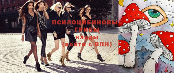 крисы Магадан
