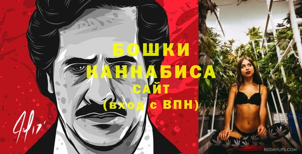 дживик Магас