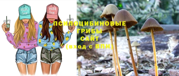 2c-b Лихославль