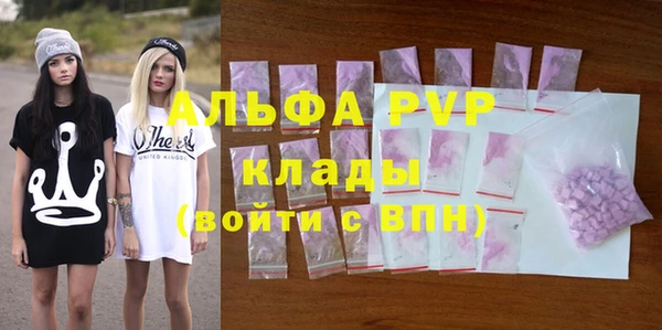крисы Магадан